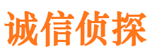 樟树侦探公司